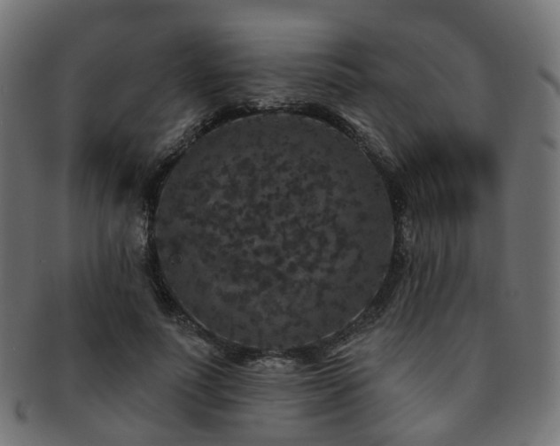 X0000092320691200709141413