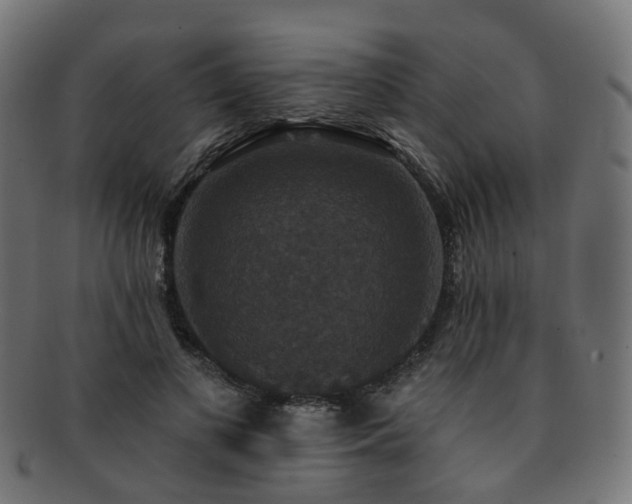 X0000092320693200709141413
