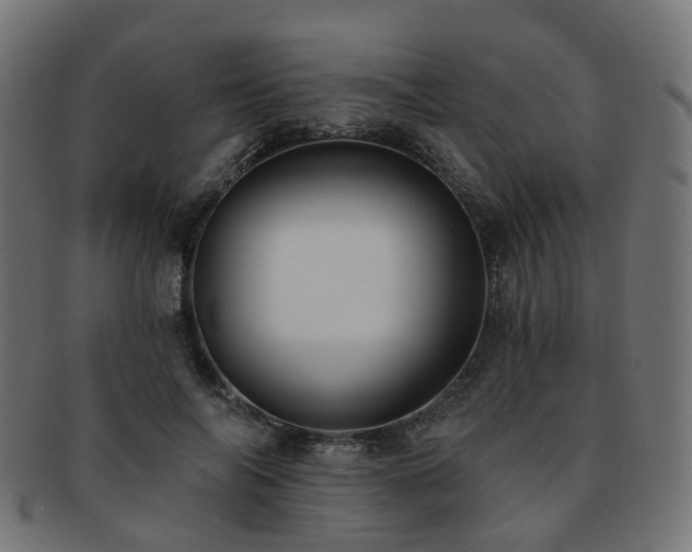 X0000092320694200709141413