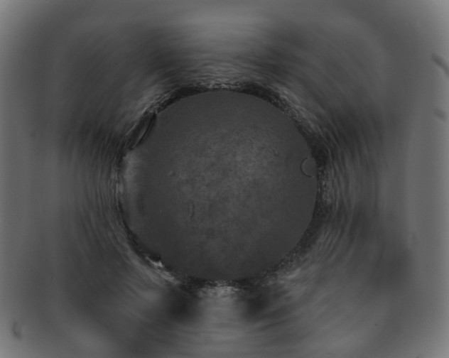 X0000092320695200709141413