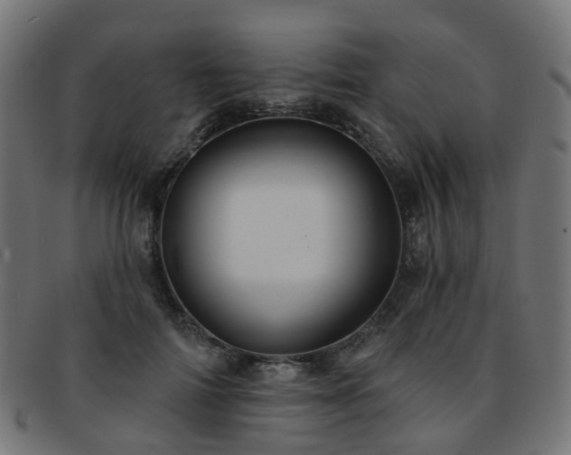 X0000092320698200709141413