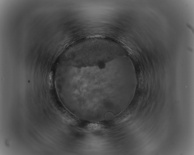 X0000092320699200709141413