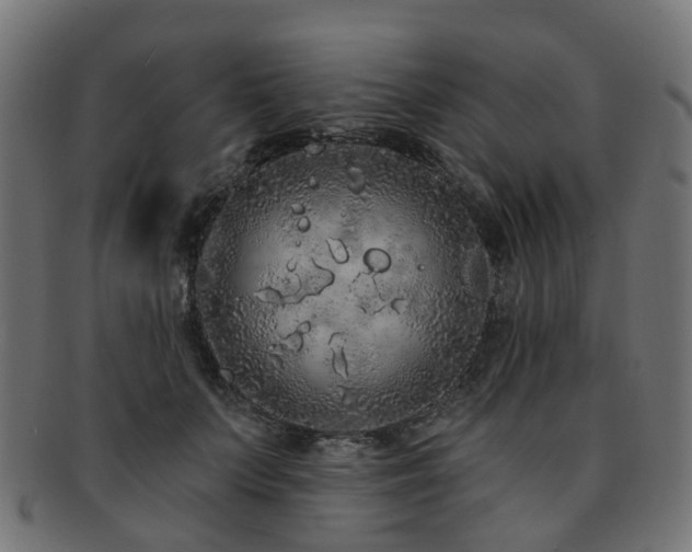 X0000092320703200709141413
