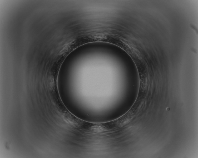 X0000092320704200709141413