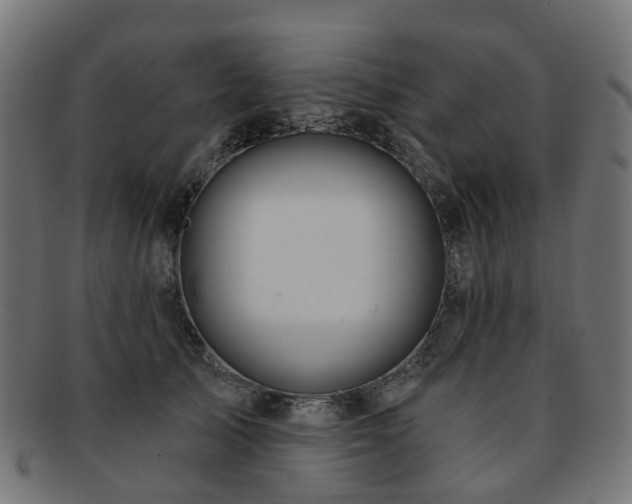 X0000092320705200709141413