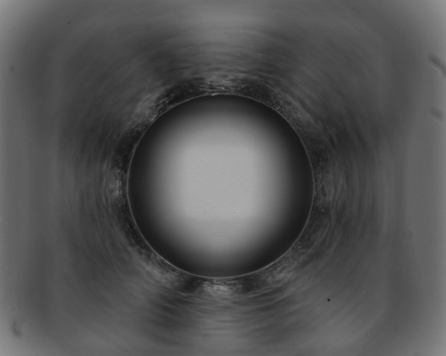 X0000092320706200709141413