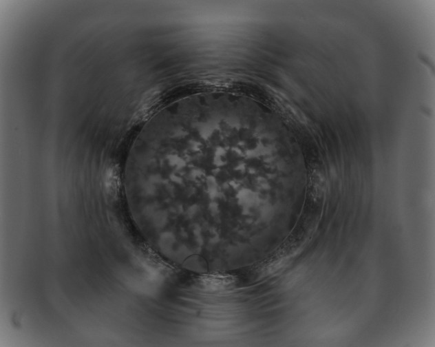 X0000092320707200709141413