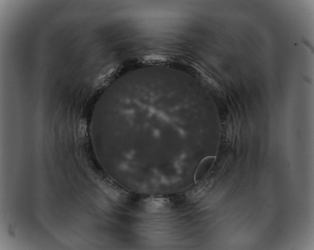 X0000092320711200709141413