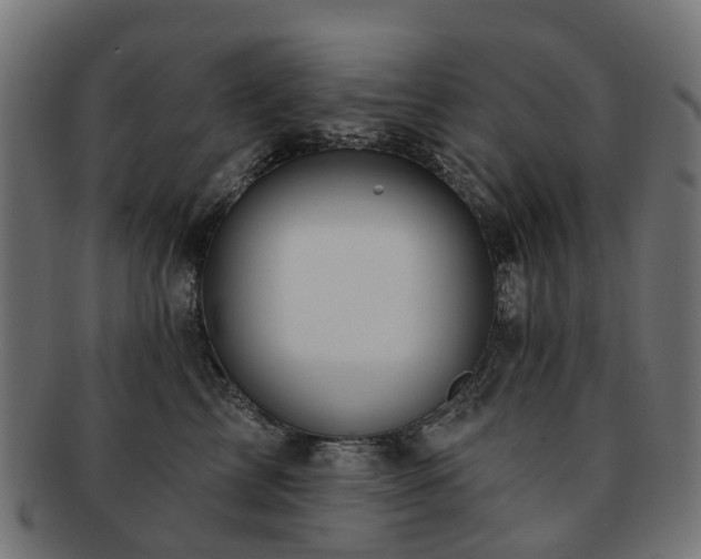 X0000092320713200709141413