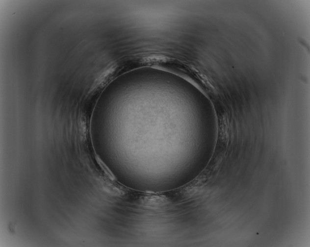 X0000092320716200709141413