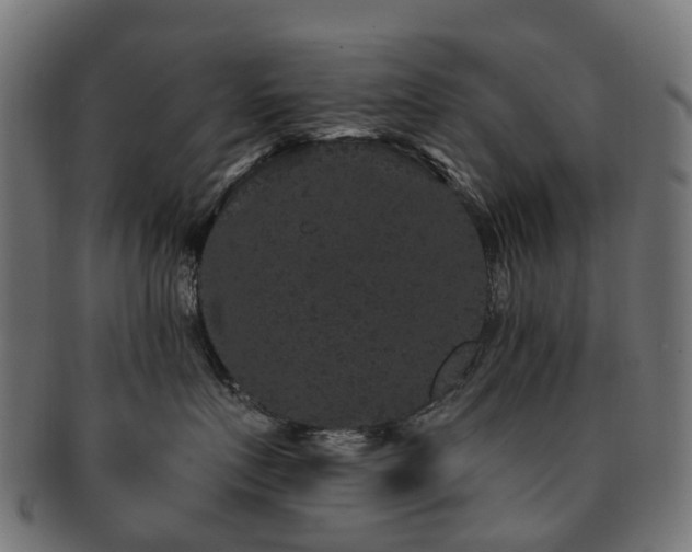 X0000092320719200709141413