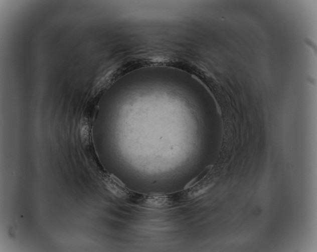 X0000092320720200709141413