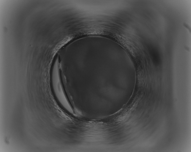 X0000092320721200709141412