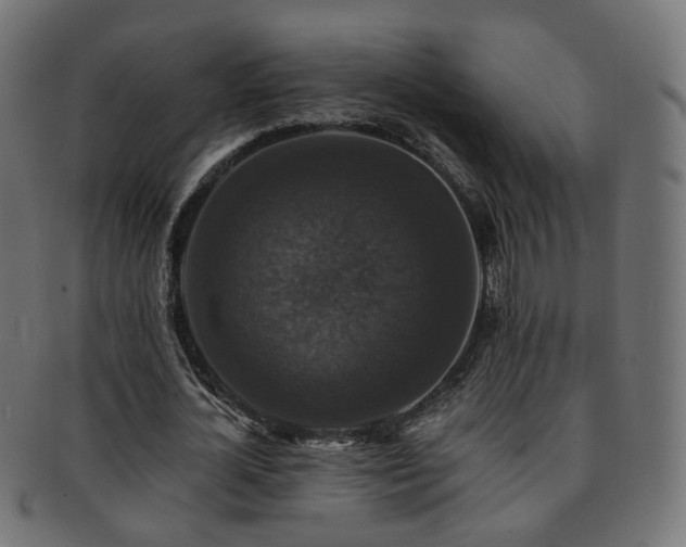 X0000092320724200709141412