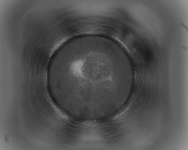 X0000092320725200709141412