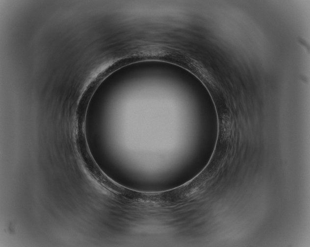 X0000092320726200709141412