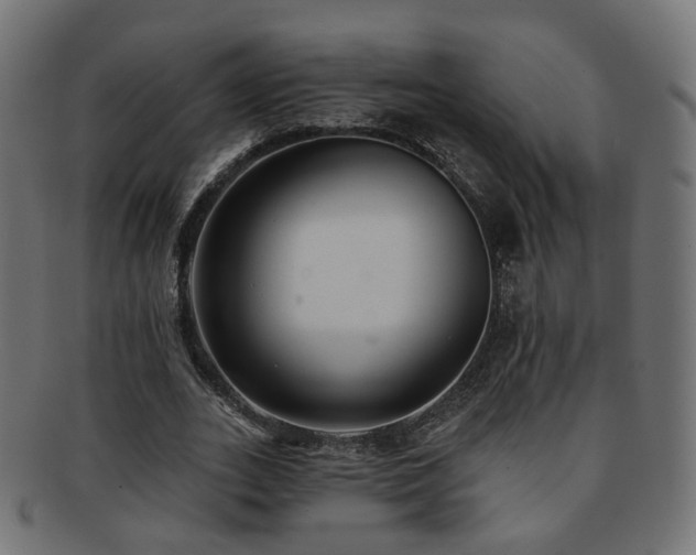 X0000092320727200709141412