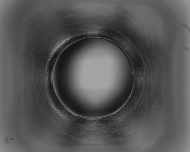 X0000092320728200709141412