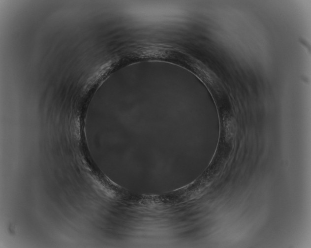 X0000092320729200709141413