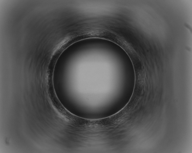 X0000092320730200709141413