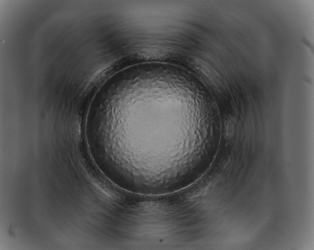 X0000092320733200709141413