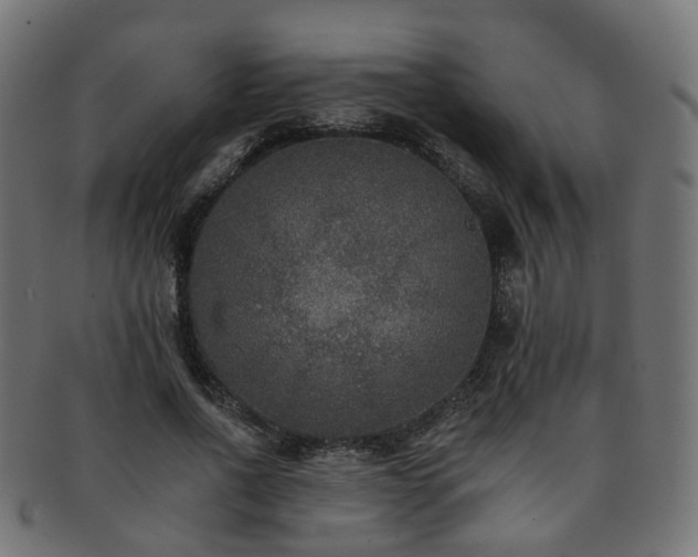 X0000092320734200709141413