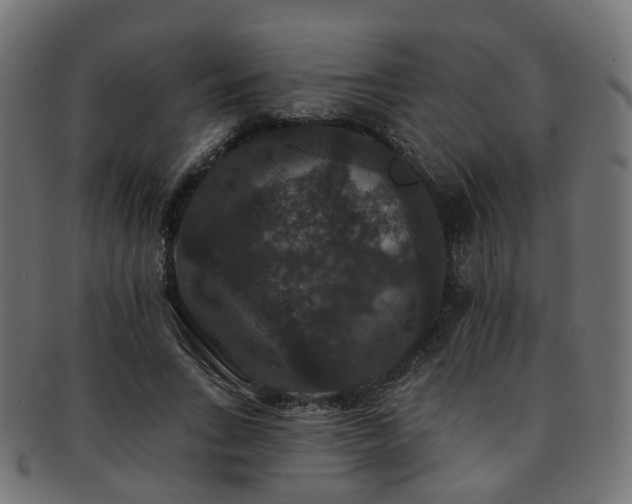 X0000092320735200709141413