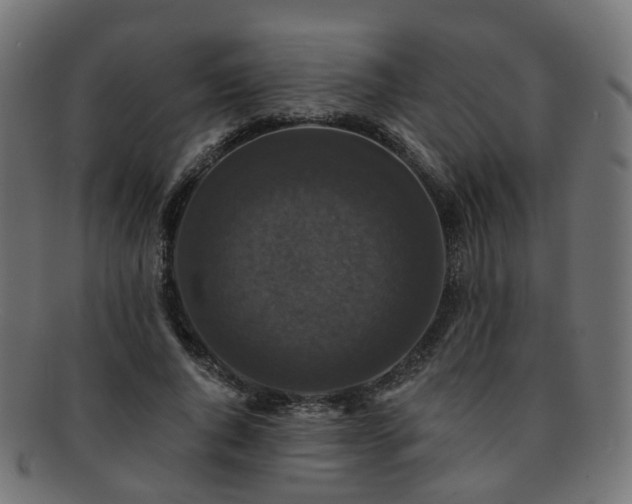X0000092320736200709141413