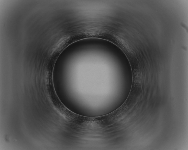 X0000092320738200709141413