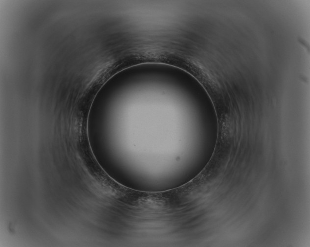 X0000092320739200709141413