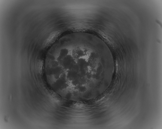 X0000092320742200709141413
