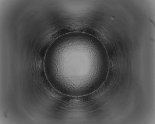 X0000092320745200709141413