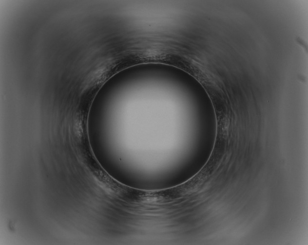 X0000092320746200709141413
