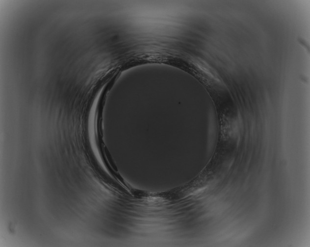 X0000092320748200709141413