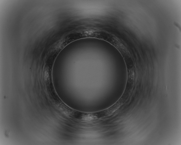 X0000092320754200709141413