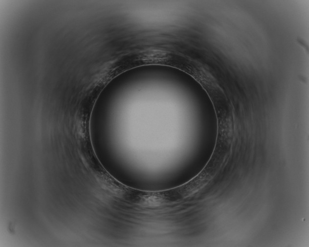 X0000092320755200709141413