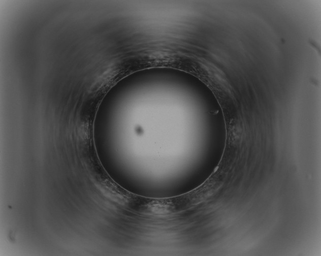 X0000092320756200709141413