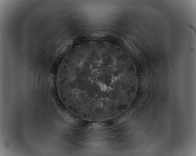 X0000092320758200709141413
