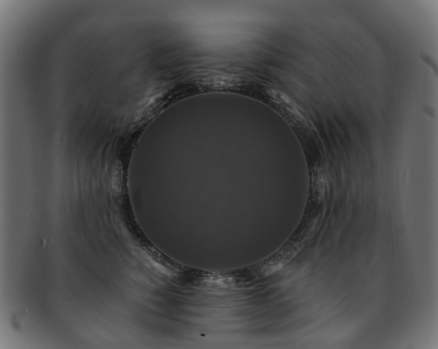 X0000092320760200709141413