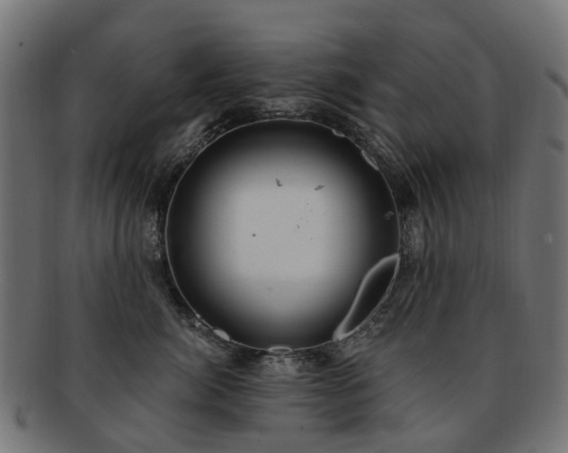 X0000092320764200709141413
