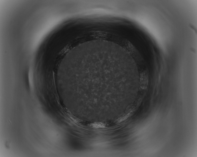 X0000092320765200709141413