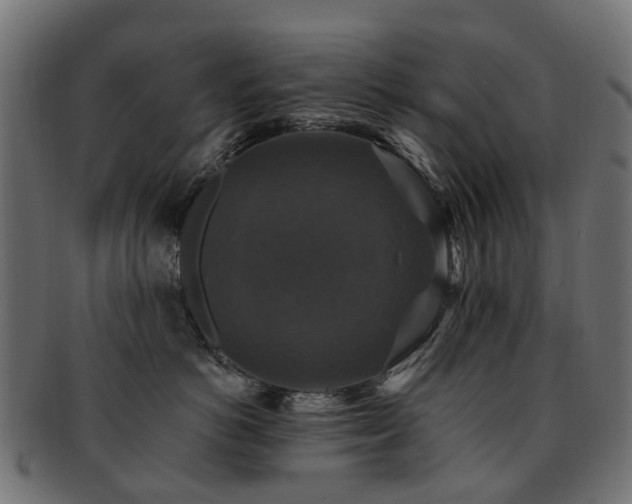 X0000092320766200709141413