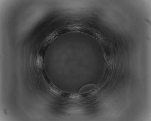 X0000092320767200709141413