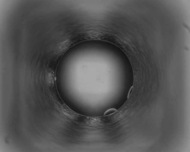X0000092320768200709141413