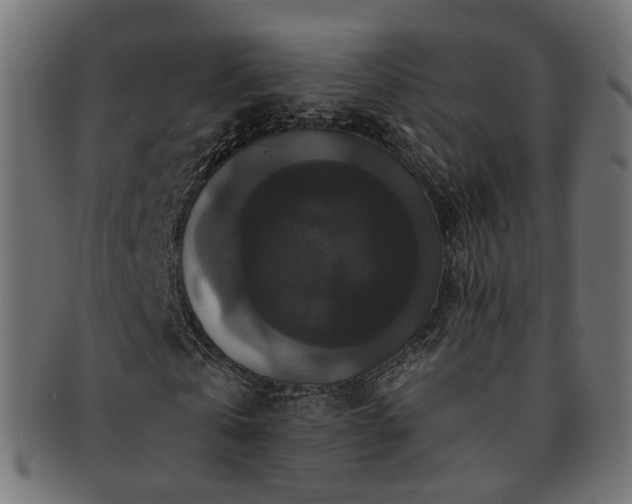 X0000092320769200709141412