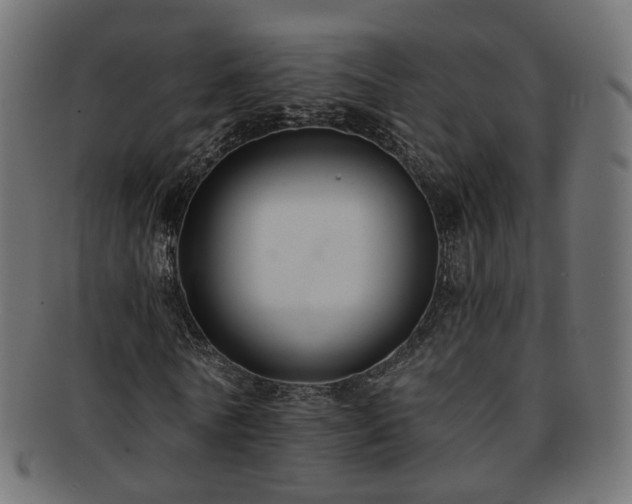 X0000092320770200709141412