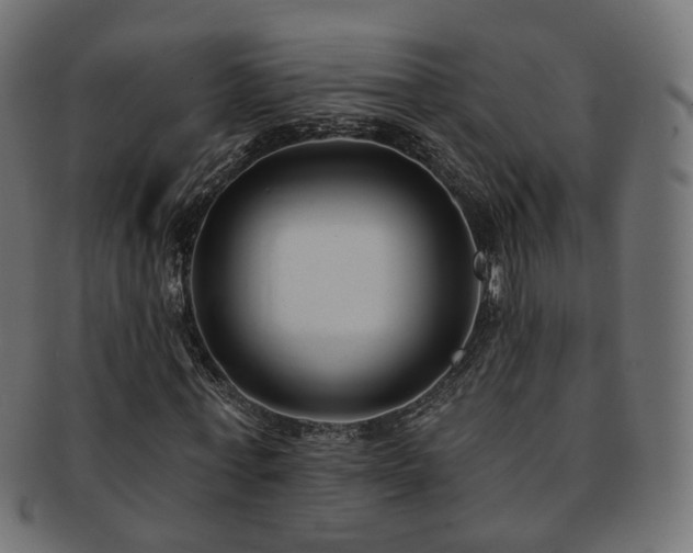 X0000092320771200709141412