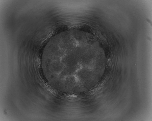 X0000092320772200709141412