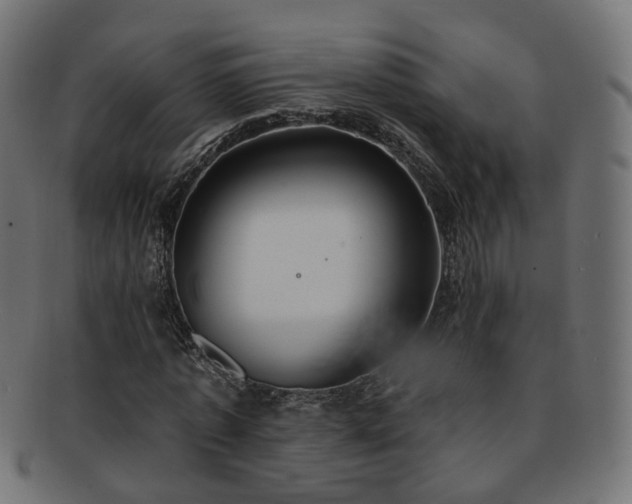 X0000092320773200709141412