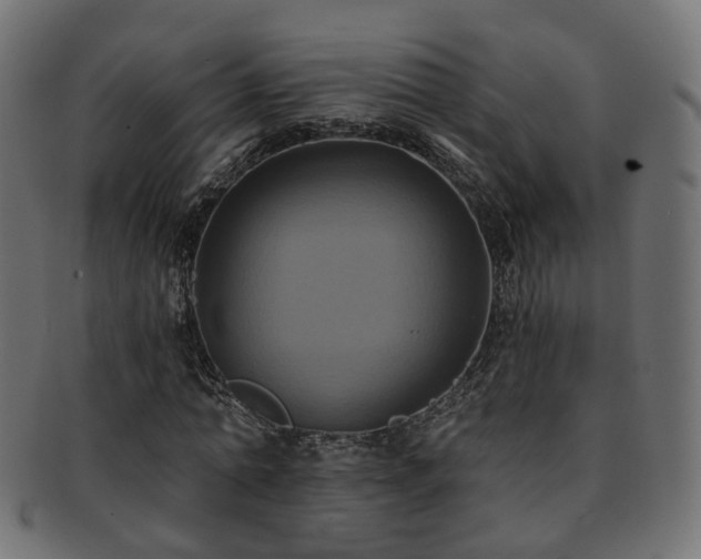 X0000092320774200709141412